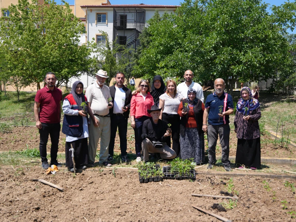 Ata Tohumları Huzurevi Sakinlerinin Ellerinde Toprakla Buluştu