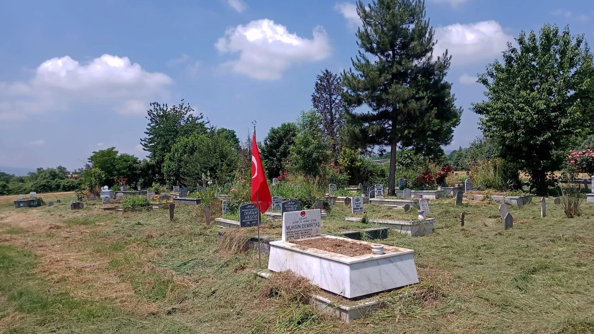 D&uuml;zce Belediyesi Şehitlik İ&ccedil;in Harekete Ge&ccedil;ti