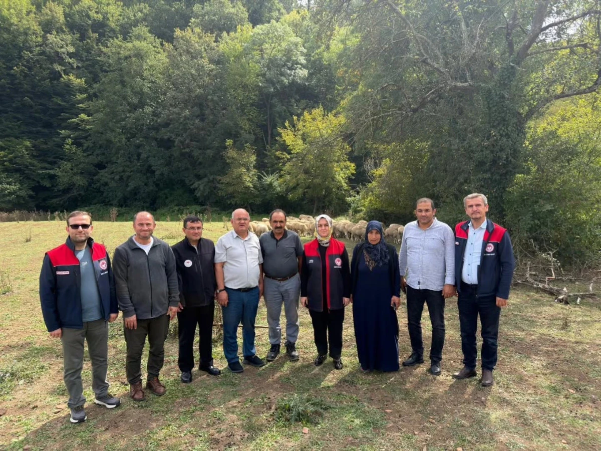 D&uuml;zce&rsquo;de &Uuml;reticiye 100 K&uuml;&ccedil;&uuml;kbaş Hayvan Desteği
